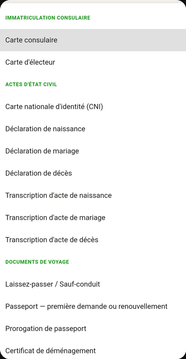 Liste des vingt démarches consulaires, classées par rubrique.